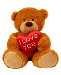 Teddy bear
