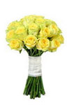 Yellow roses