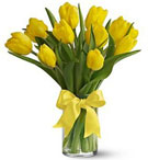 Yellow tulips