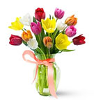 Various tulips